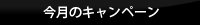 今月のキャンペーン