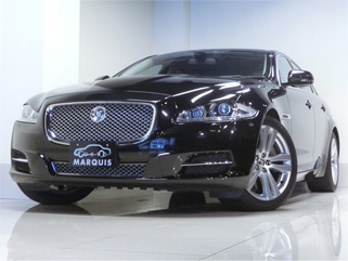 jaguar