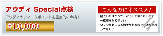 アウディ個人売買ウェルカムメンテナンスプラン 点検